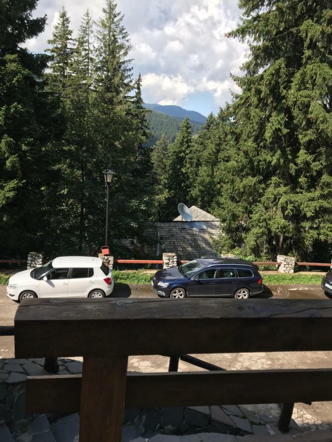 Villa Bonita En Plopilor سيبيو المظهر الخارجي الصورة